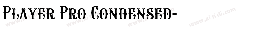 Player Pro Condensed字体转换